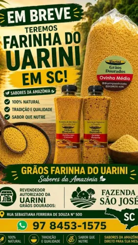 Farinha uarini 