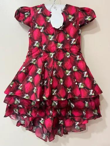 Vestidos infantis novos e semi novos