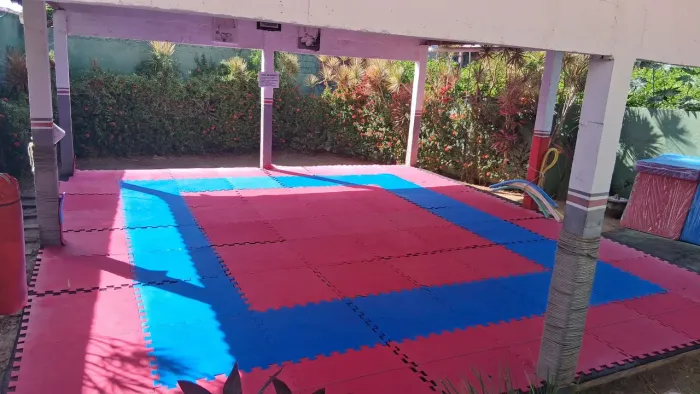 Tatame 1m x 1m x 10 mm