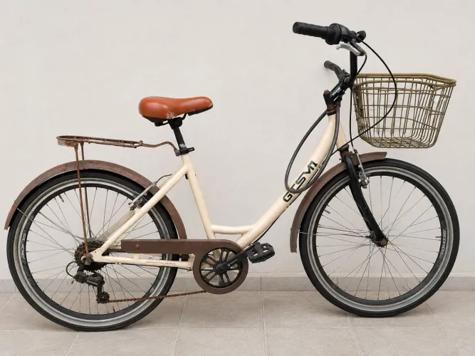 Bicicleta