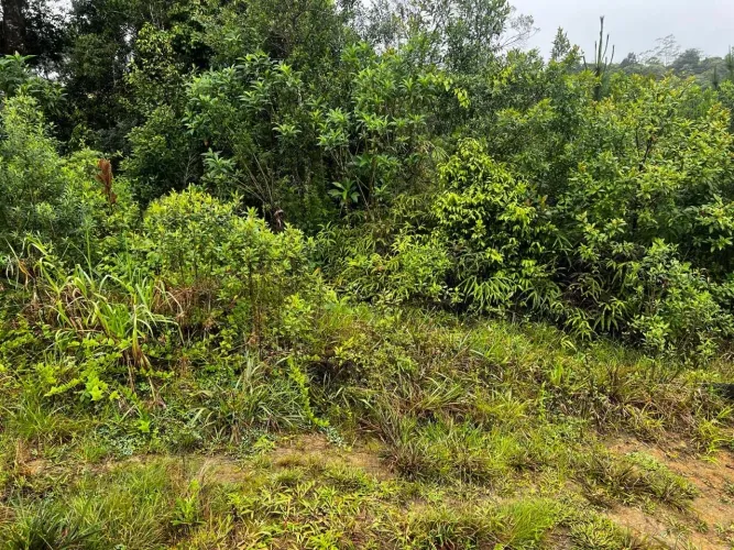 TERRENO À VENDA - EMBU-GUAÇU/SP