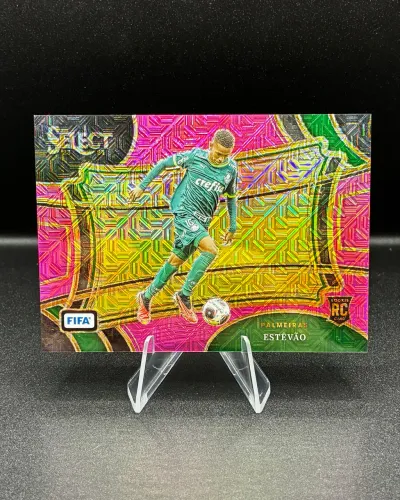 Card Panini - Estêvão