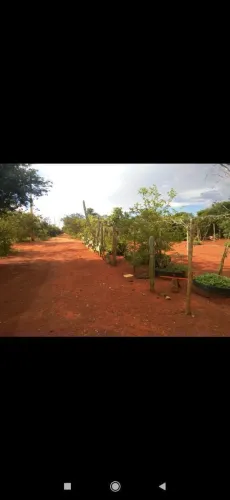 Chácara Belvedere 12.000 M² ( Francisco Sá)