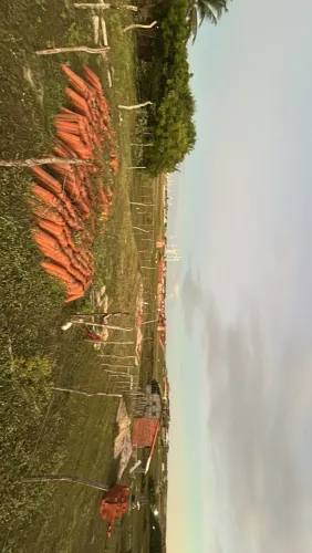 Terreno na Taiba (barramar)