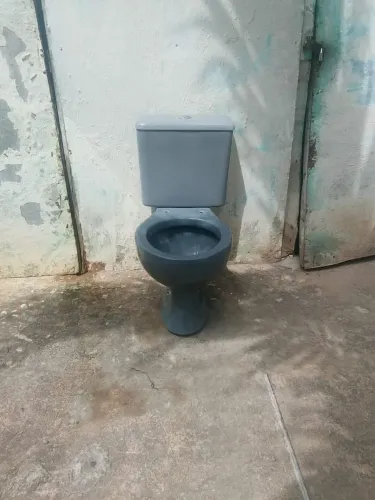Vasos lindos