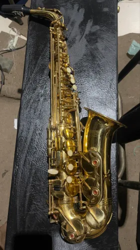 Sax alto Winner