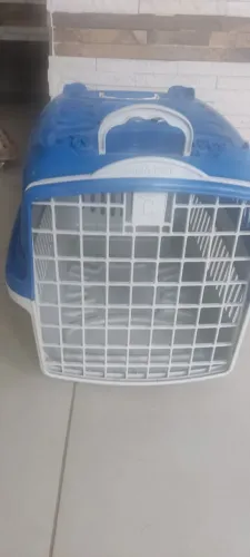 Caixa pet transporte