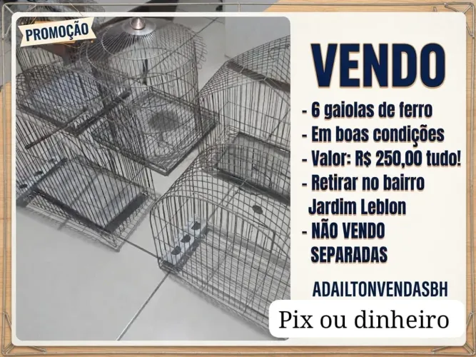 Gaiolas de ferro,6 unidades por 250,00 tudo!