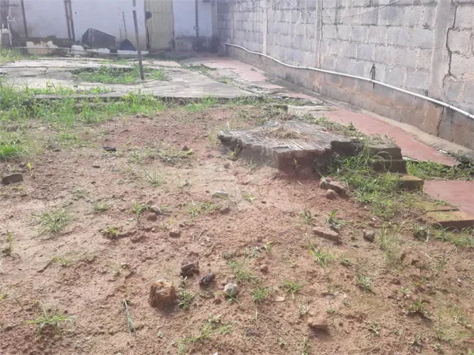 Terreno à venda em Vila palmeiras - SP