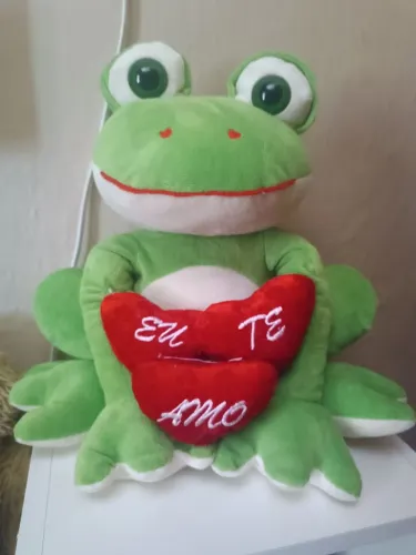 Sapo apaixonado ? grande muito fofo 