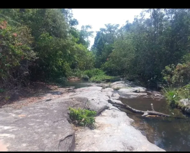 Oportunidade! Vende-se uma excelente chácara 8 alqueires
