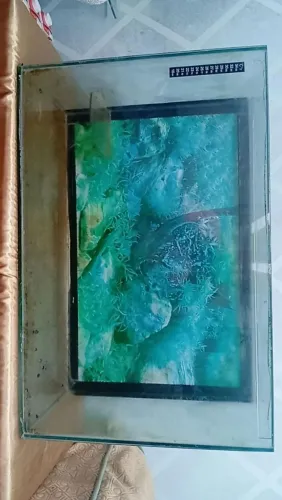Vendo aquário 80 litros