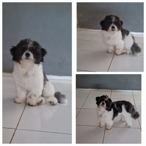 A procura de uma namorada