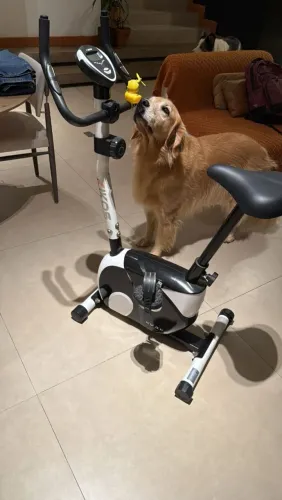 Bicicleta ergométrica Kikos 