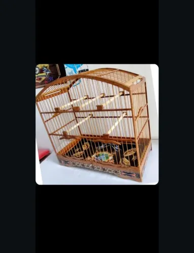 Gaiola Baianinha top