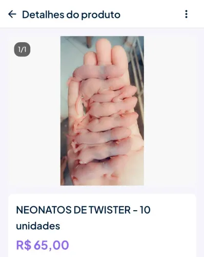 Neonaros de twister - 10 unidades