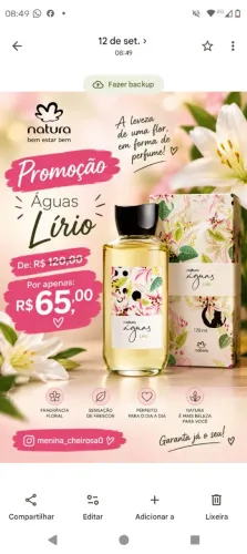 Presente águas Lírio, natura.