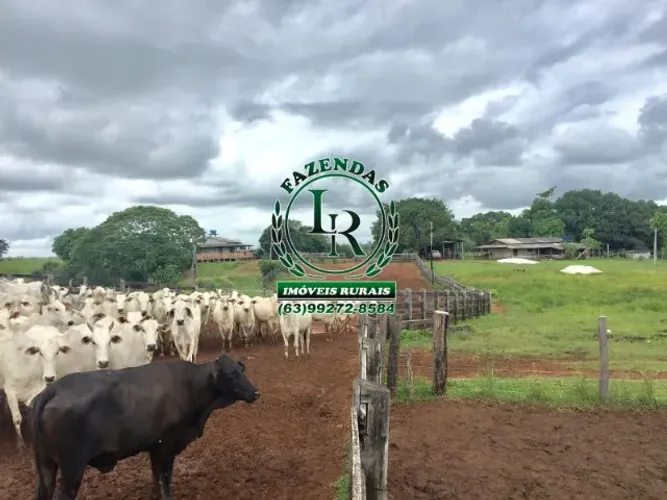 Fazenda 587 Alqueires Estado do Pará