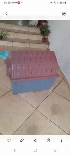 Casinha grande para Cachorro ?