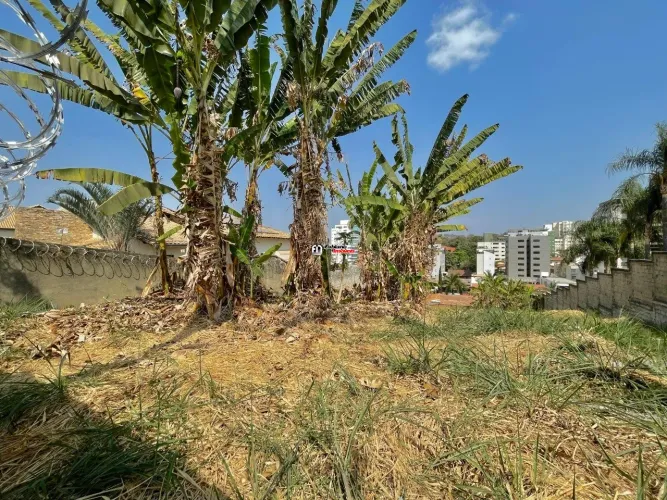 Lote mil metros a venda no São Luiz