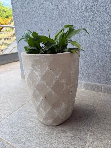 Vaso de cimento para plantas 