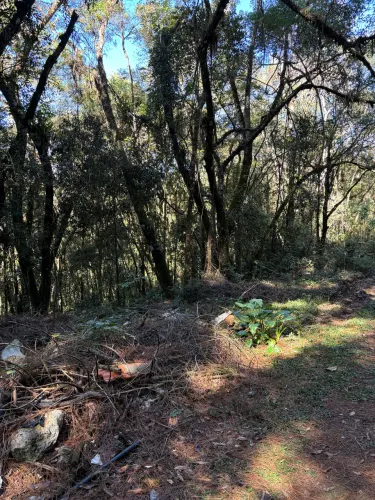 Terreno em monte verde mg