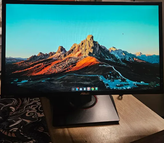 MONITOR ASUS MG248QR