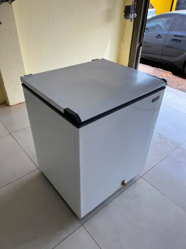 Freezer ESMALTEC ORIGINAL 240lts Dupla Ação Congela e Resfria 110v - Entrego