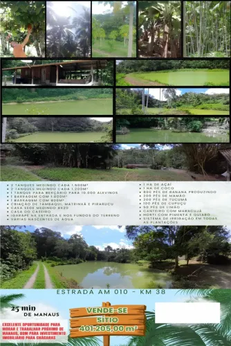 Sitio para Geração de Renda