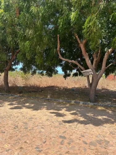 Lote paracuru