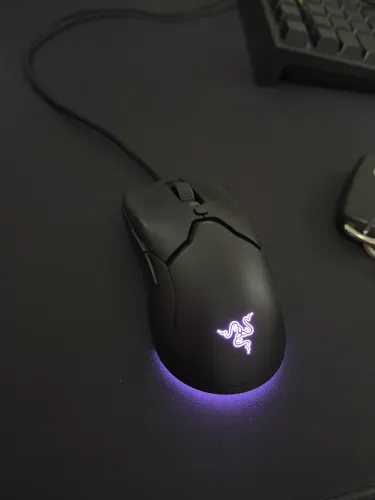 Razer Viper Mini