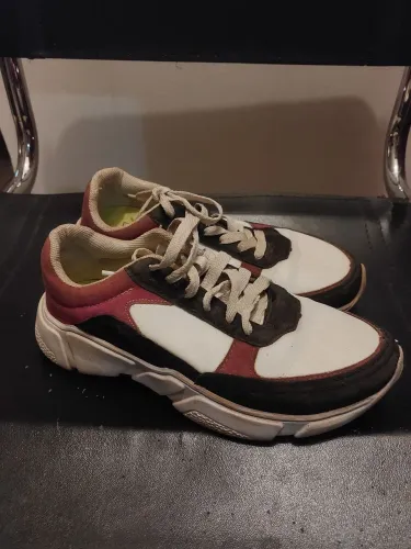 Tenis