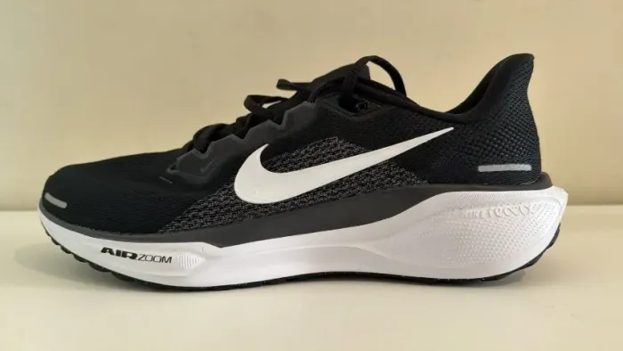 Tenis Nike Pegasus 41