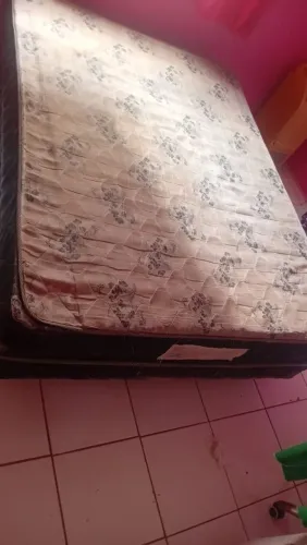 Cama