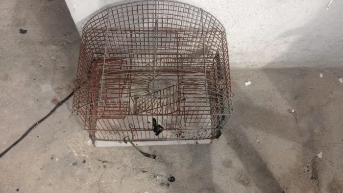 Gaiola p hamster de metal antiga c marcas de ferrugem 