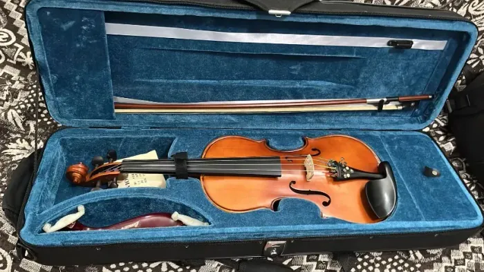 Violino Eagle VE 244
