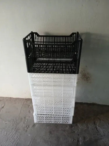 10 CAIXA DE HORTIFRUT