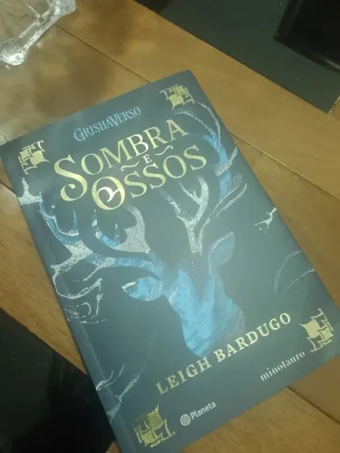 Livro sombra e ossos