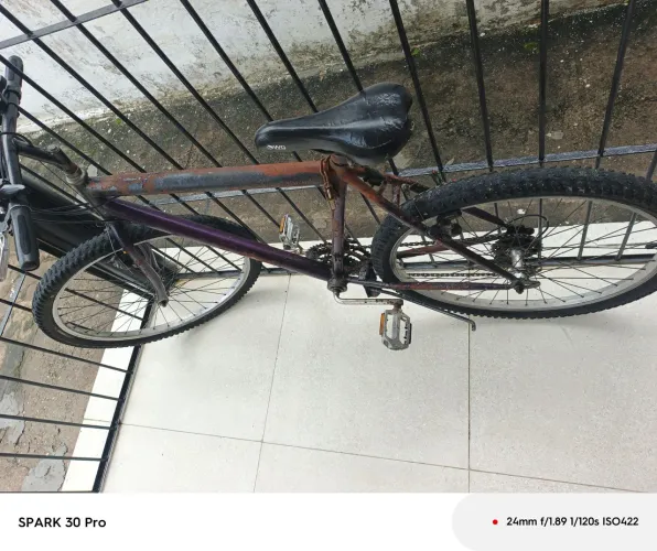 Bicicleta 