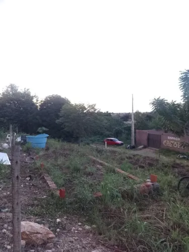 Venda