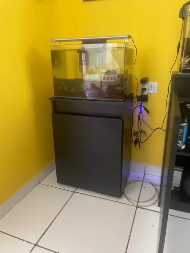 Aquário completo .
