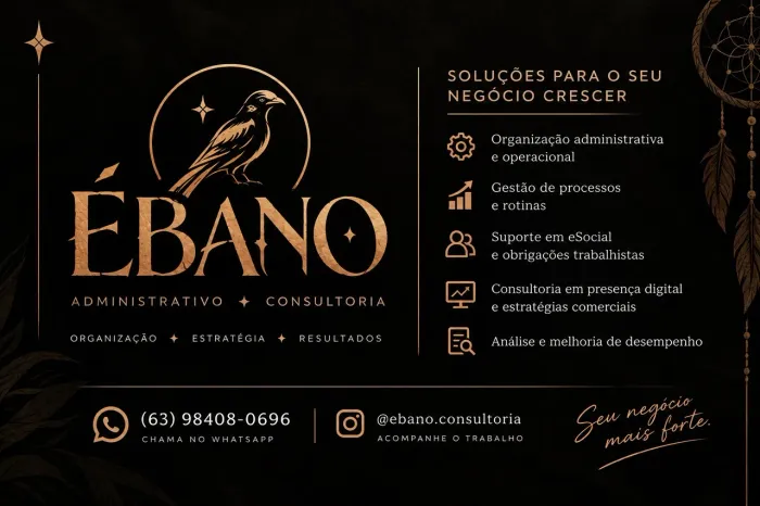 Consultor Administrativo e comercial