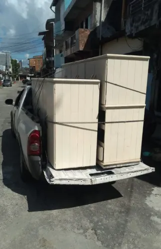 Transporte 