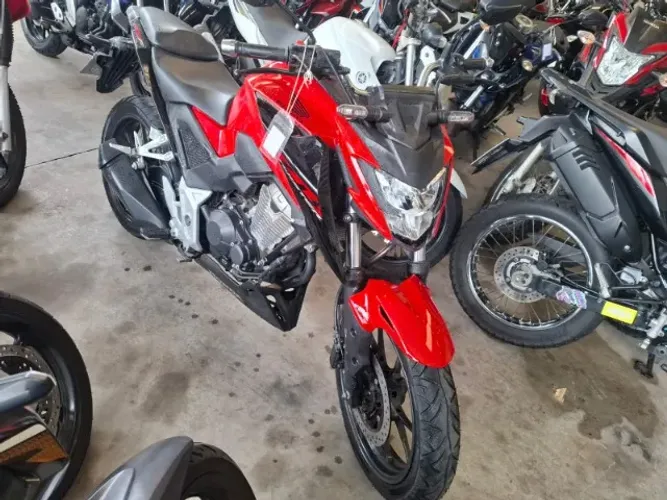 Honda CB 300f Twister Flex 2023