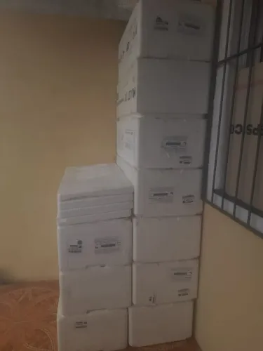Caixa de isopor 30L