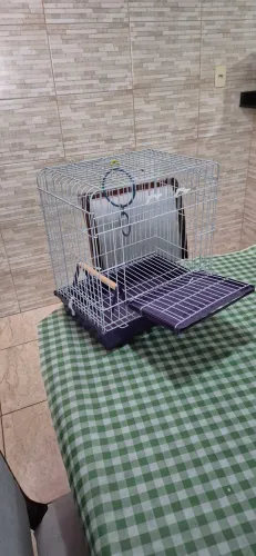 Gaiola para periquito
