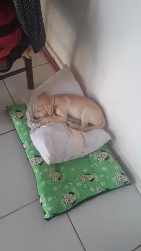 Doação  de  um  amigo  ? 