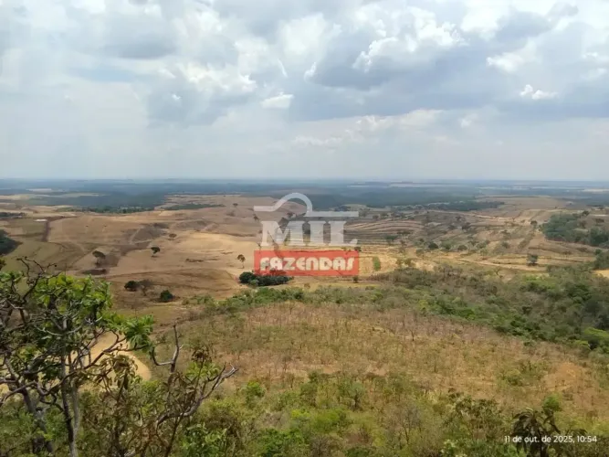 Fazenda 468 alqueires (2.265 hectares) Palmas - TO