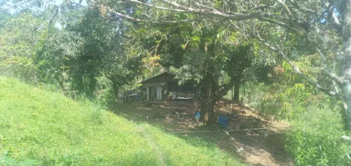 Sítio com 2 casas no Bananal com 10 alqueires de terras- Peruíbe 19km da Praia