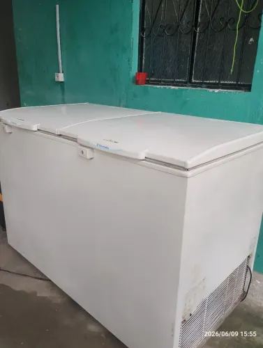 Frezer eletrolux 2 portas